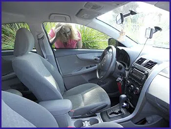 Elmhurst RI Locksmith Store Elmhurst, RI 401-307-2743